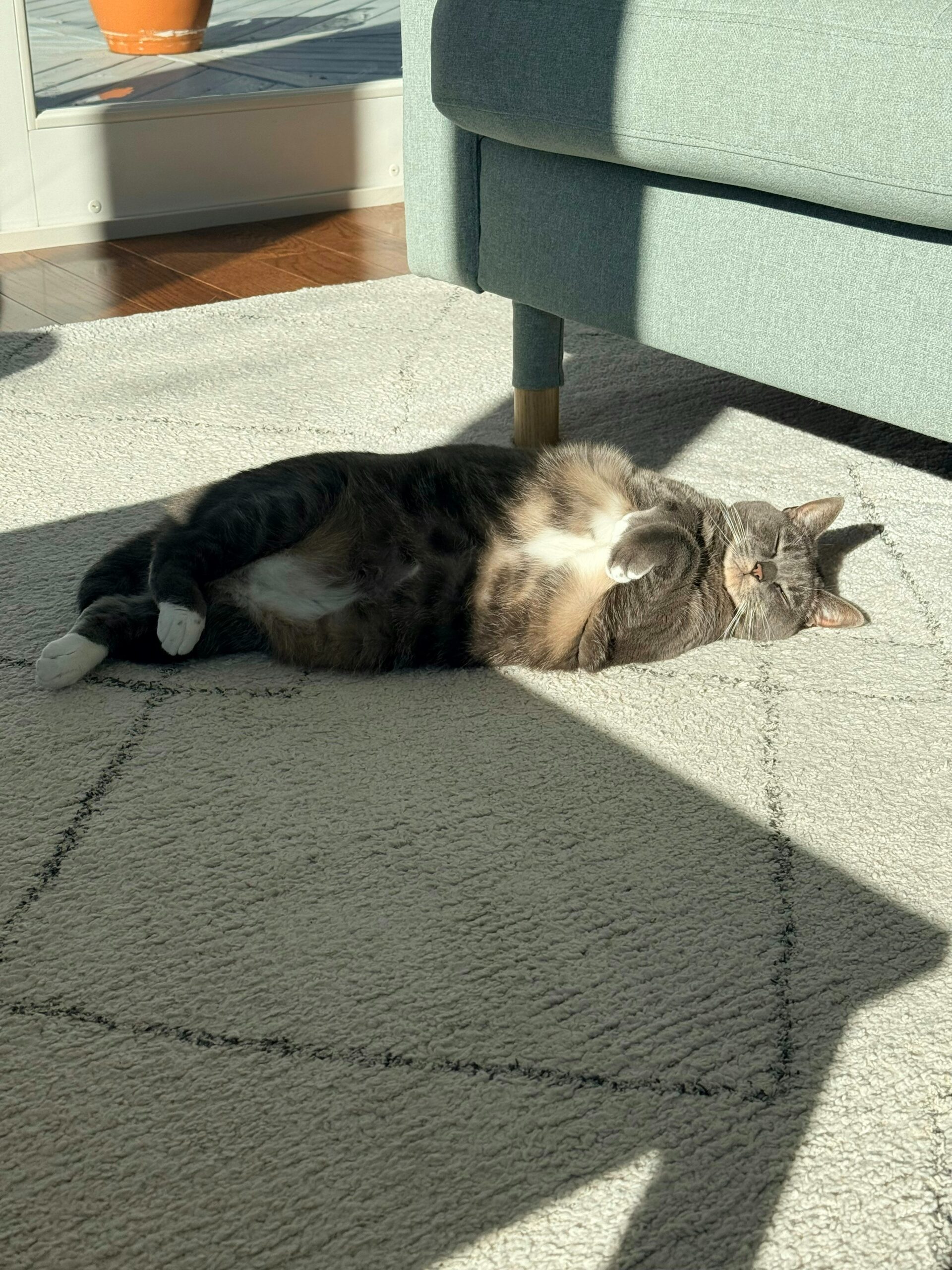 Hello world!
